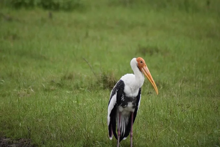 Tour photo